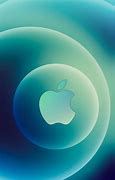 Image result for Apple iPhone Green Box