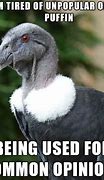 Image result for Bird People Memes