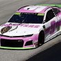 Image result for Woke Colors On NASCAR