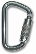 Image result for Stainless Steel Locking Carabiner