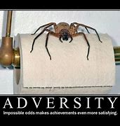 Image result for Spider Pet Meme