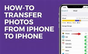 Image result for Where Are the Pictures On My iPhone