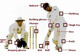 Image result for Cricket Safety Equipment
