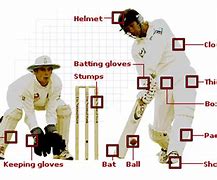 Image result for Cricket Machine