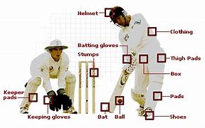 Image result for Cricket Equipment Labeled