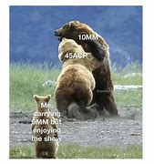 Image result for Bear Gun Meme
