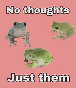 Image result for Unicorn Meme Frog