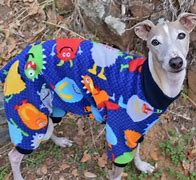 Image result for Holiday Pajamas