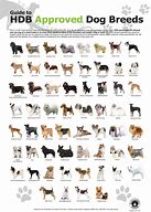 Image result for Toy Dog Breeds List