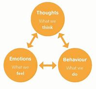 Image result for Emotion Drives Behaviour