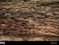 Image result for Sharp Texture