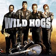 Image result for Wild Hogs Film