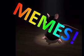 Image result for Rat Meme Tik Tok
