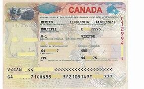 Image result for Canada Work Visa