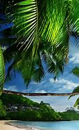 Image result for Flowers Tropical Beach Wallpaper