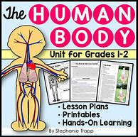 Image result for Human Body Unit