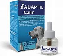 Image result for adapillar