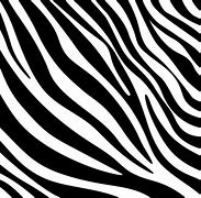 Image result for Zebra Print iOS Wallpaper