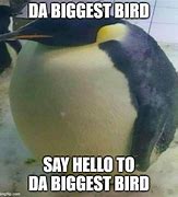 Image result for Biggest Bird IRL Meme