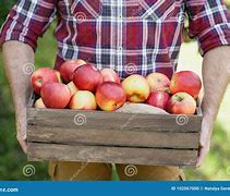 Image result for Man with a Lot of Apple's