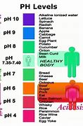 Image result for Human pH Level Chart