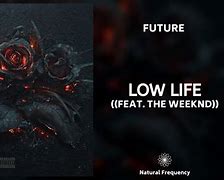 Image result for Future Low Life Album Cover