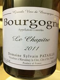 Image result for Sylvain Pataille Bourgogne Chapitre