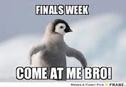 Image result for Memes for Finals Week