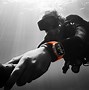 Image result for Apple Watch Ultra 2 Ocean Band