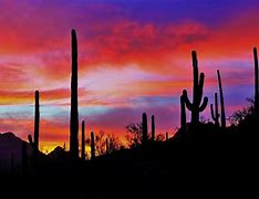 Image result for Sonoran Desert Sunset