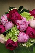 Image result for Peonies and Hydrangeas