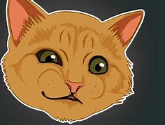 Image result for Meme Cat Face Wallpaper