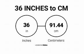 Image result for 36 Inches Compared to a Person