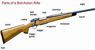 Image result for Rifle Parts Diagram