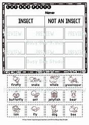 Image result for Insect Vs. Bug Worksheet