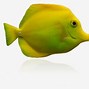 Image result for Yellow Fish Clip Art