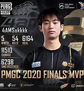 Image result for Pubg eSports Poster