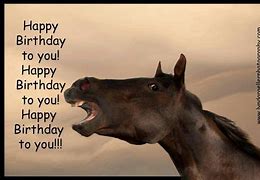 Image result for Happy Birthday Theresa Horse