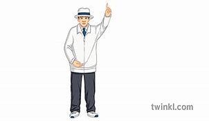 Image result for Cricket Umpire Out