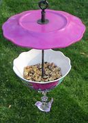 Image result for Jay Bird Feeder