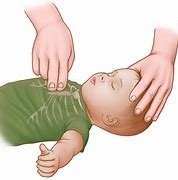 Image result for CPR for Infants