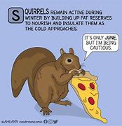 Image result for Squirrel Appreciation Day Meme