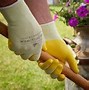 Image result for Gloves for Gardening