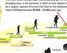 Image result for Human History Timeline Chart