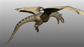 Image result for Show Me a Picture of a Wyvern