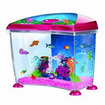 Image result for Pink Fish Tank