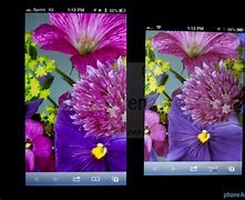 Image result for iPhone 5 Camera
