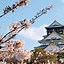 Image result for Things to Do in Osaka Island