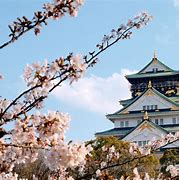 Image result for What to See in Osaka