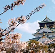 Image result for Osaka Castle Japan Images